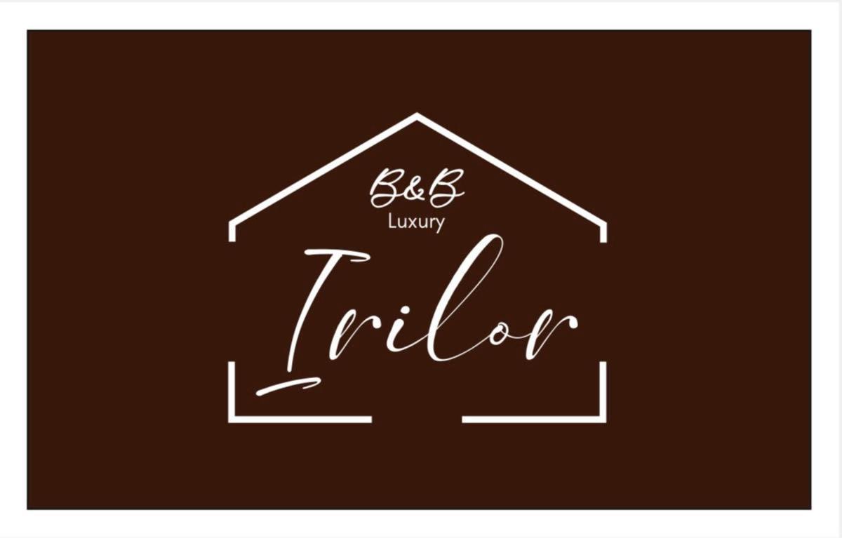 Irilor Luxury B&B Valledoria Kültér fotó